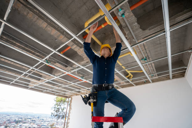 Best Clogged Drain Plumber  in Island Lake, IL