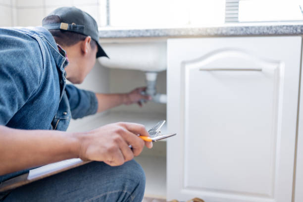 Best Toilet Repair Services  in Island Lake, IL
