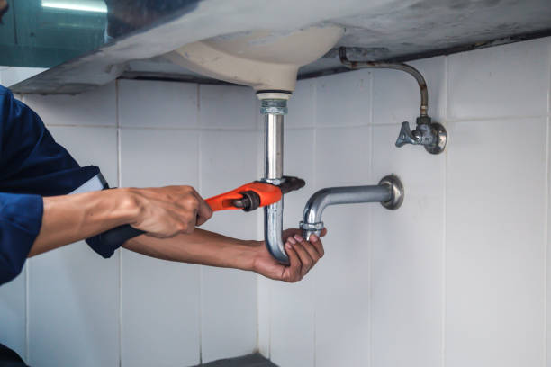 Reliable Island Lake, IL Plumbing Solutions
