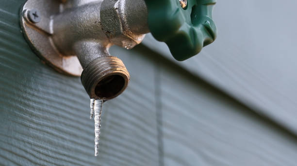 Best Shower Repair Services  in Island Lake, IL