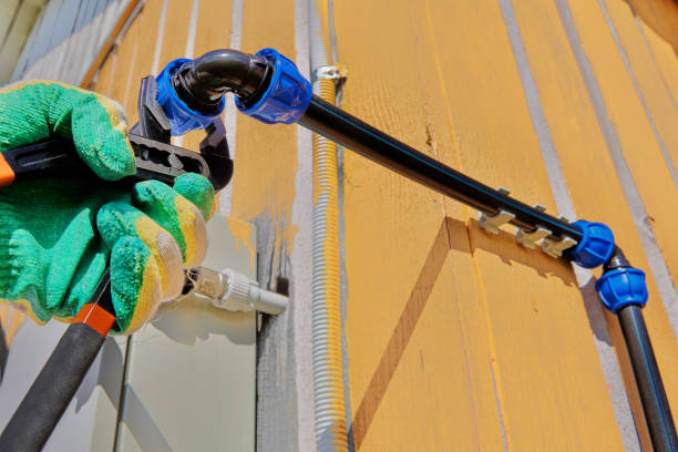 Best Local Plumber Services  in Island Lake, IL