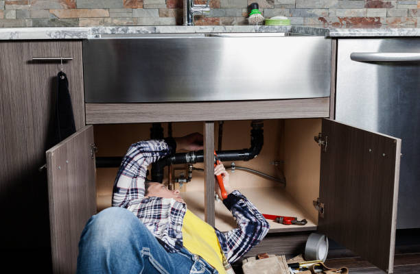 Best Commercial Plumbing Services  in Island Lake, IL