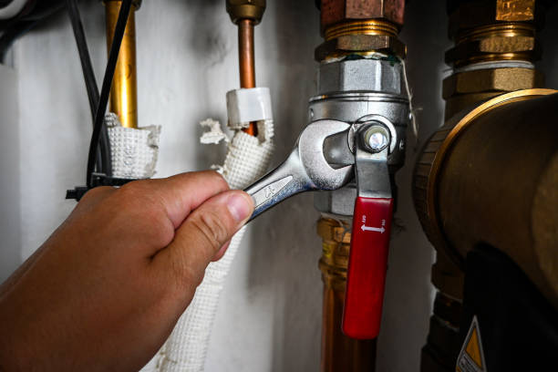 Best Leak Detection Services  in Island Lake, IL